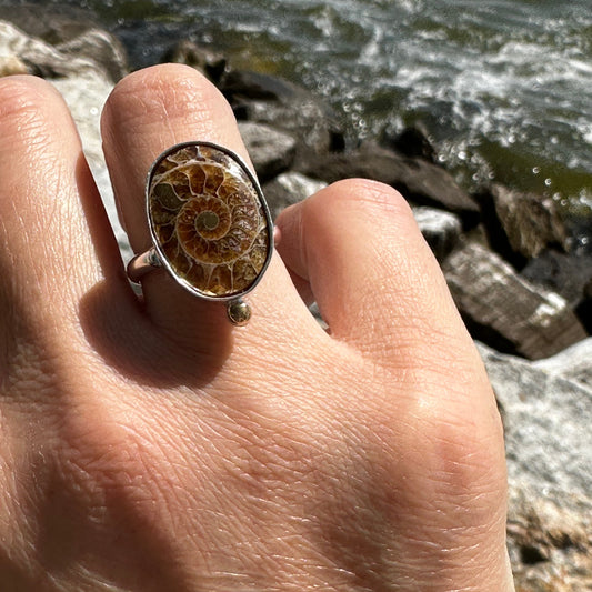 Fossilized ammonite ring close up, prehistoric spiral fossil sterling silver Natural Earth Collective Ohio