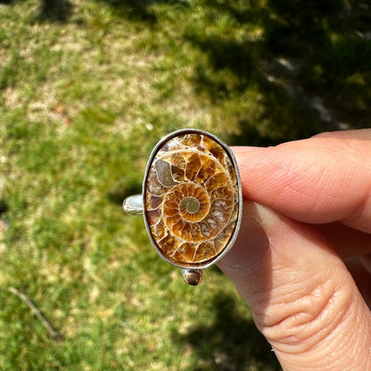 Single fossilized ammonite ring finish to size, sterling silver 14k gold filled Natural Earth Collective Ohio