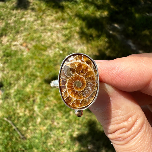 Single fossilized ammonite ring finish to size, sterling silver 14k gold filled Natural Earth Collective Ohio