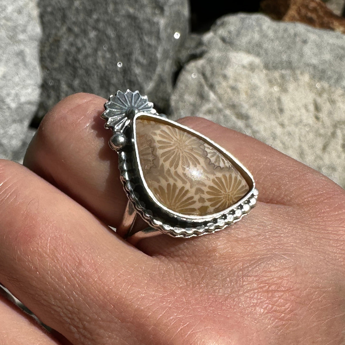Fossilized coral starburst ring close up, natural coral polyp pattern preserved in stone Natural Earth Collective Ohio